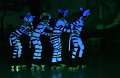 Lionking 0339